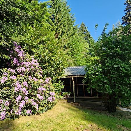 Chalet De La Foret 1 A 6 Pers Saint-Sauveur  Exterior photo