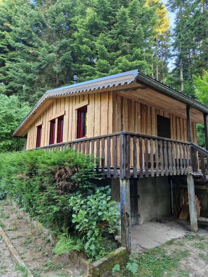 Chalet De La Foret 1 A 6 Pers Saint-Sauveur  Exterior photo