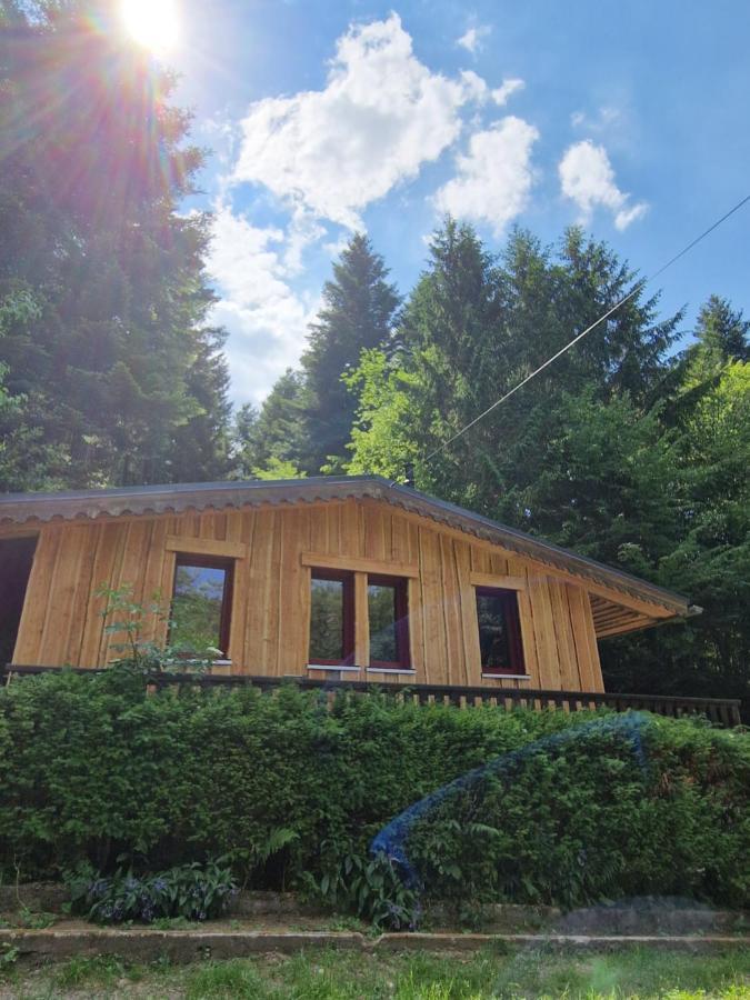Chalet De La Foret 1 A 6 Pers Saint-Sauveur  Exterior photo
