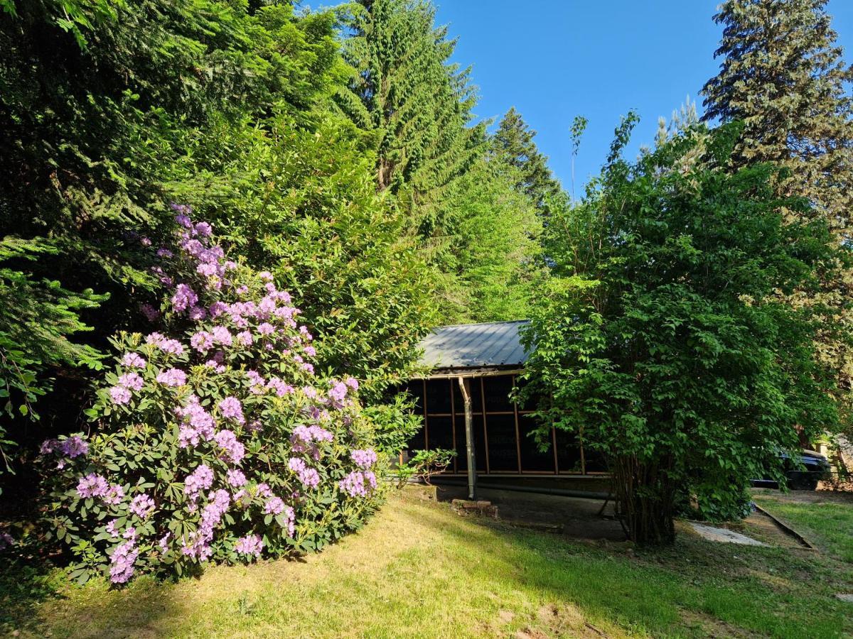 Chalet De La Foret 1 A 6 Pers Saint-Sauveur  Exterior photo